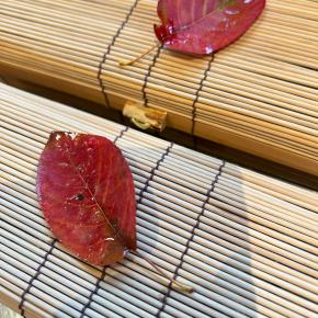 紅葉のアフタヌーンティー終了しました