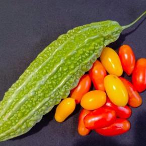 家庭菜園 ゴーヤ ミニトマト（アイコ）