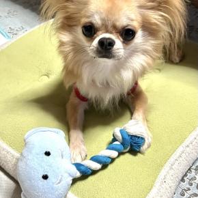 カイト 毎日元気です！