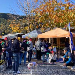 WAN FAMILY譲渡会ご報告