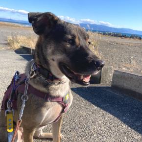 年末も頑張る綜（あぜ）