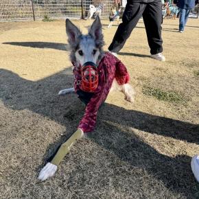 初走りご参加ありがとうございました！！