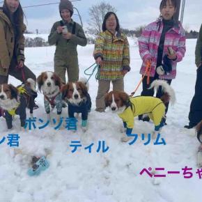 黒姫スノーパーク(4) 