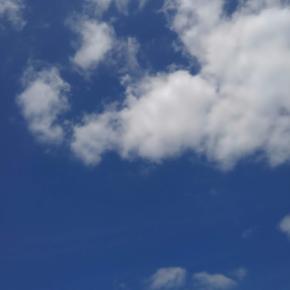 今の時期にした勉強（土地家屋調査士試験）