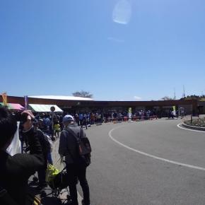 アニパに行ってきました