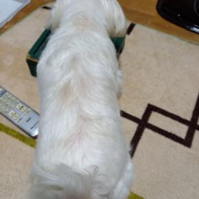 なんか最近・・・