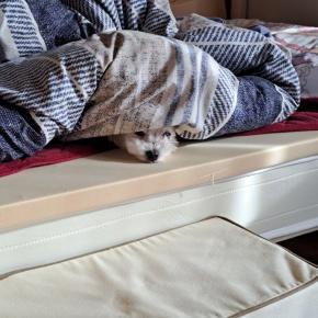 毎朝のやりとり