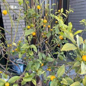 底まで落ちている