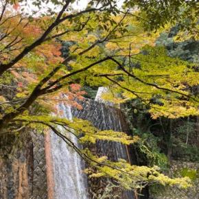 フリマサイトやオークションで家の中に眠ってた捨てるに捨てれなかったゴミの整理へ