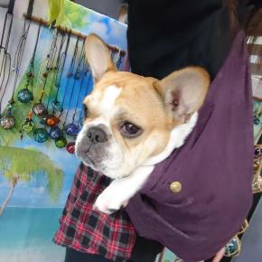 月♡スイカは飲み物♡