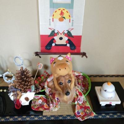 2026年もよろしくお願いします