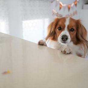 翌日も愛は続く！