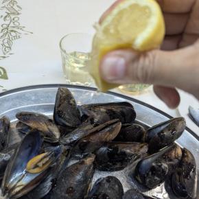 ギリシャ【アテネ】おすすめ！魚市場隣の新鮮ローカルレストラン「To Steki Tou Maki」ムール貝と白ワインに舌鼓