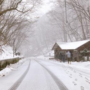 長野は雪模様☆