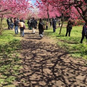 発表会まであともう少し～