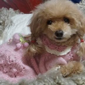 ☆彡明けましておめでとうございます