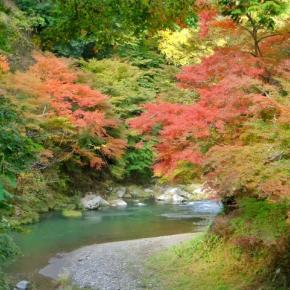 変わるのは怖いことだけど でも