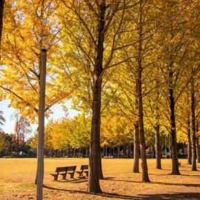 【カラーカード＆ブログ】11/20(木) ネガティブエネルギーには毅然とね BLUE 【癒しのメッセージ】