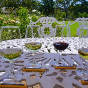 大人の世界旅とはこういう旅のことを言う(そうかな)ケープ最後のお遊び