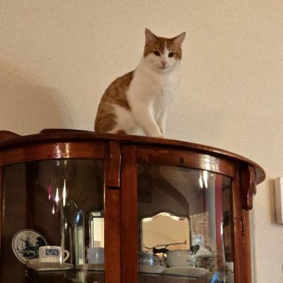 もういくつ寝ると