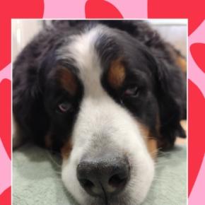 🎍新年のご挨拶✋