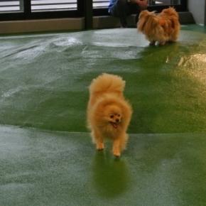 お金がない＆よいお年を