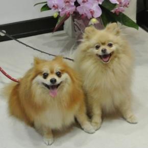 一銭も使わないで山下公園に