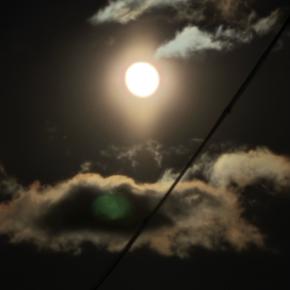 家族ってありがたい