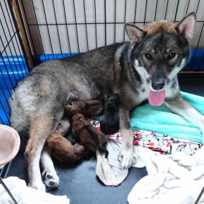 産まれました‼️