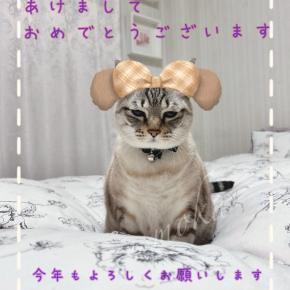 第二章のはじまり