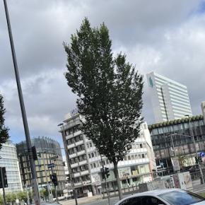 ニュースは見た方が良いのか？〜情報を鵜呑みにしない力が欲しい