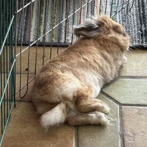 私が睡眠時間を十分にとるようにしているわけ