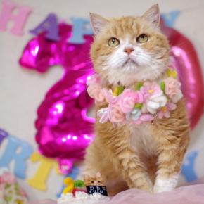 ぷぷ20歳の誕生日おめでとう！