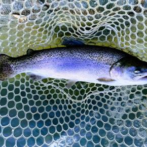 釣りパラダイス(2025.12.9)