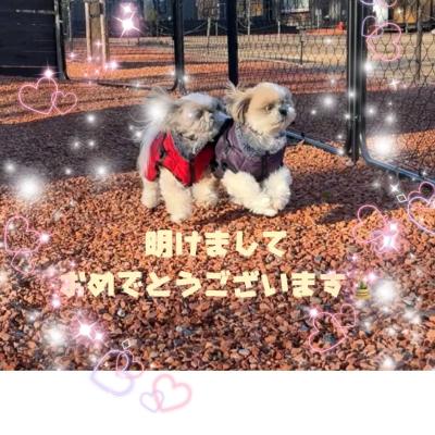 明けましておめでとうございます🎍