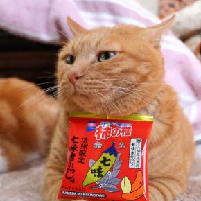 亀田の柿の種信州限定八幡屋礒五郎七味からし味