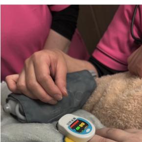 痙攣やホワイトデー、家計のことなど