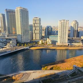 帰宅後即花壇のお話