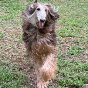 寒中お見舞い申し上げます