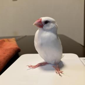 11歳のお誕生日①