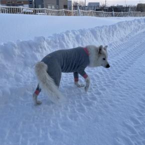 今年最後の更新