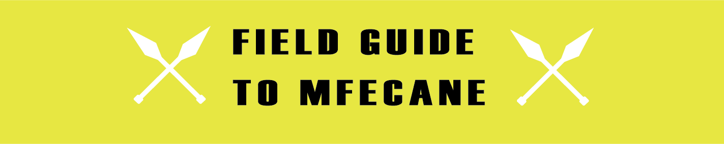 MFECANE FIELD GUIDE (NARRATIVE AND DATA FOR COMP/CON)