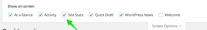 checking the Site Stats box in Screen Options
