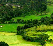 Coorg