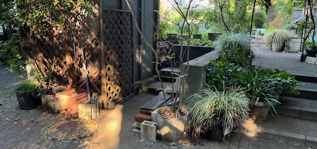 ストレスについて