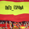 Spain National Fútbol Team