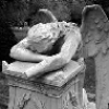 weeping angel