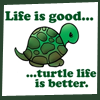 Meanne77: Turtle : life is good