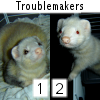 Troublemakers