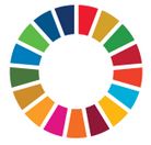 UN Sustainable Development Goals logo